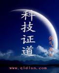 科技证道王野