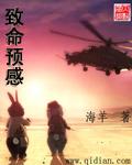 致命预感1