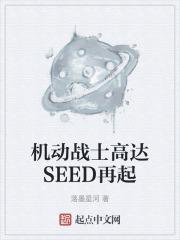 机动战士高达seed重制版