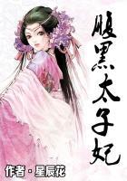 腹黑太子妃容墨阅读