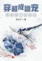 穿成团宠娇女后