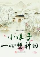 豆腐小娘子种田文