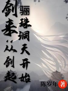 剑来从剑起骊珠洞天开始 列表