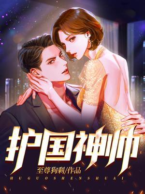 护国神帅第二部全集免费观看
