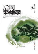 后周枭雄录epub 百度