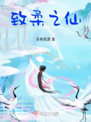 致柔电子科技有限公司