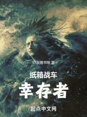 纸箱战机中文版第一季