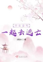 带着全村去种田