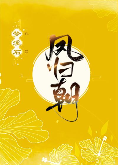 凤归朝梦溪石讲了什么
