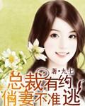 总裁有约俏妻不准逃雷赫