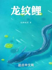 龙纹鲤超轻二代质量口碑怎么样