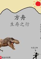 方舟生存之行 青衫纱衣