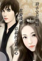 惹爱成婚总裁今天要追妻