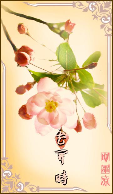 花开时等待你的归期是什么歌