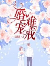 婚宠难戒无广告