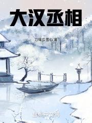 大汉天子丞相是谁