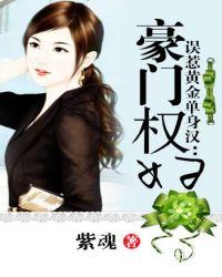 误惹黄金单身汉豪门权妇品书网