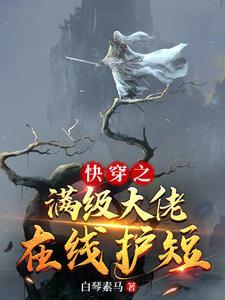 快穿之满级大佬在线护短txt