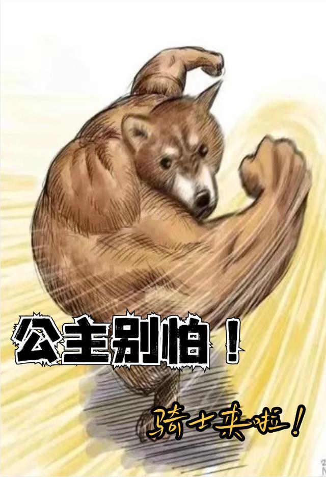 公主骑士动画片