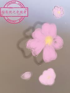 综影视之旁观者不清全文免费阅读