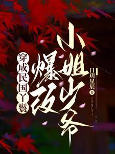 丫鬟好看的