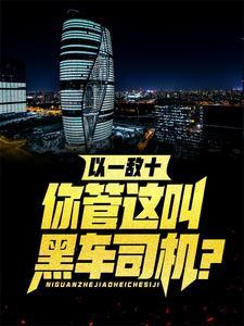 以一敌十你管这叫黑车司机免费阅读