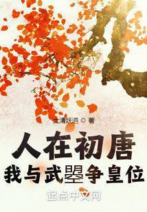 人在初唐我与武曌争皇位123读书