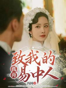 孤舟致我的易中人 短剧