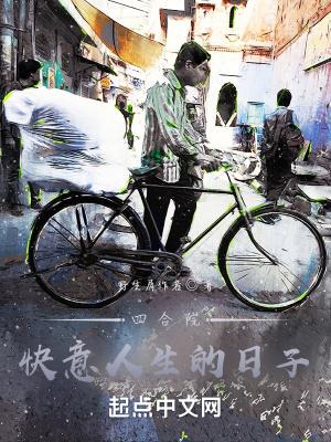 四合院快意人生的日子笔趣阁