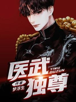医武独尊后续