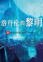 洛丹伦的黎明阅读