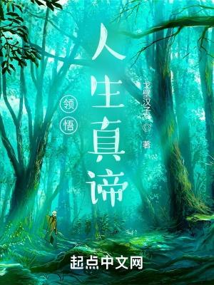 领悟人生真谛把握人生方向的感悟