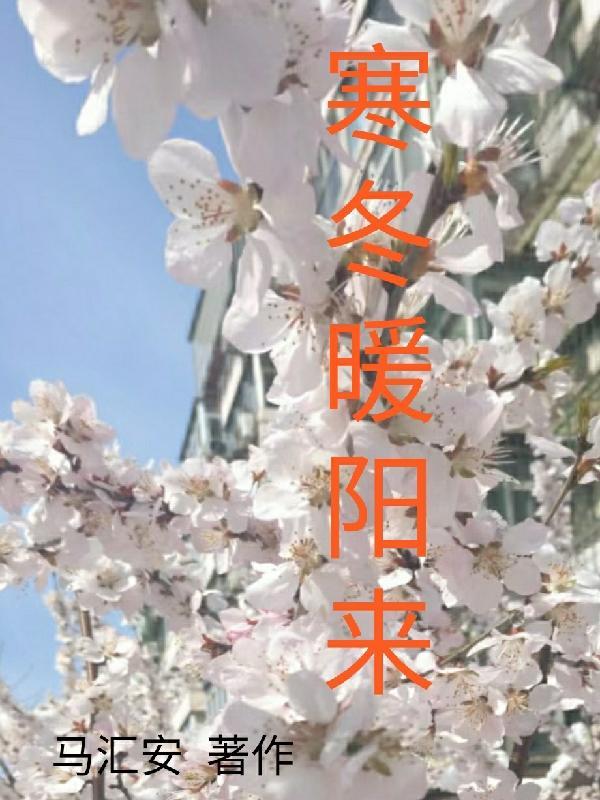 寒冬中的暖阳的诗词