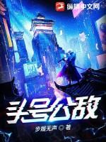 头号公敌百度百科