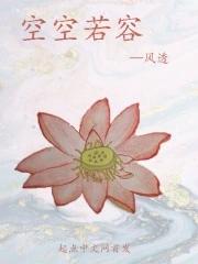 空空如洗什么意思