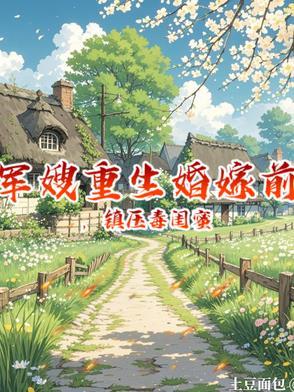 军嫂重生重回离婚前一秒