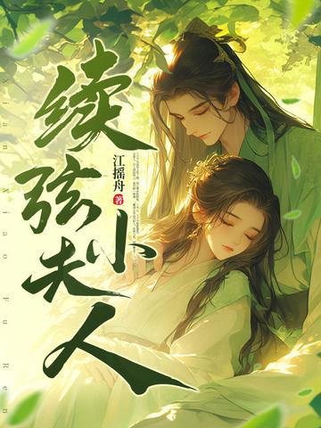续弦小夫人短剧全集