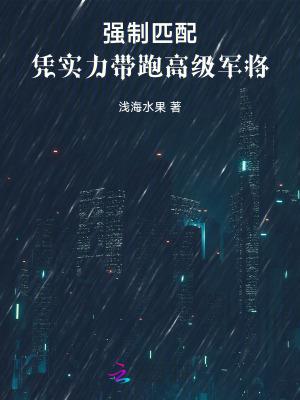 强制匹配都市 v1.0