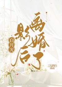 白月光回来以后 作者无影有踪