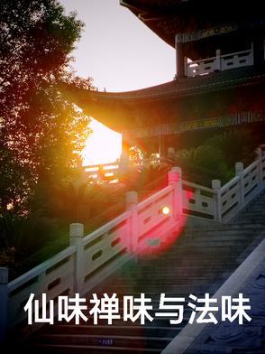 仙味禅味与法味哪个好