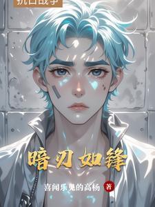 暗刃42集