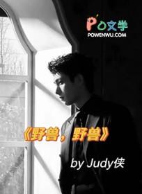 野兽野兽judy侠讲了什么