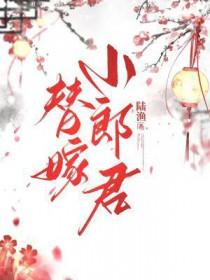 替嫁小郎君陆渔讲的什么