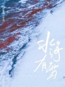 北海有雪txt