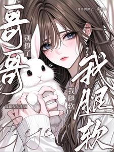 哥哥别碰我这里