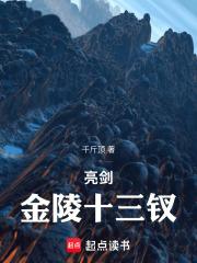 亮剑金陵十三钗TXT