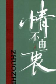 情不由衷歌词周深