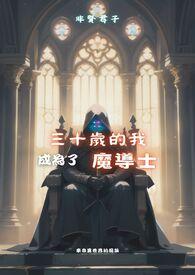 到了三十岁成为魔法师