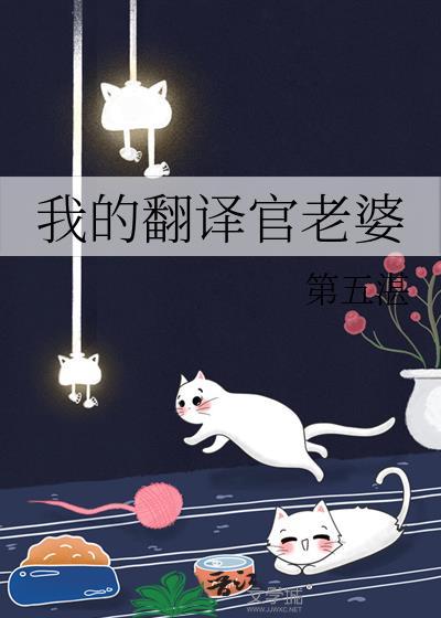 我的翻译官老婆 第五湛