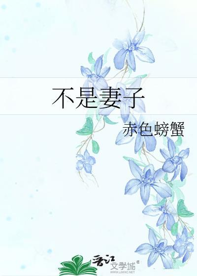不是妻子免费阅读